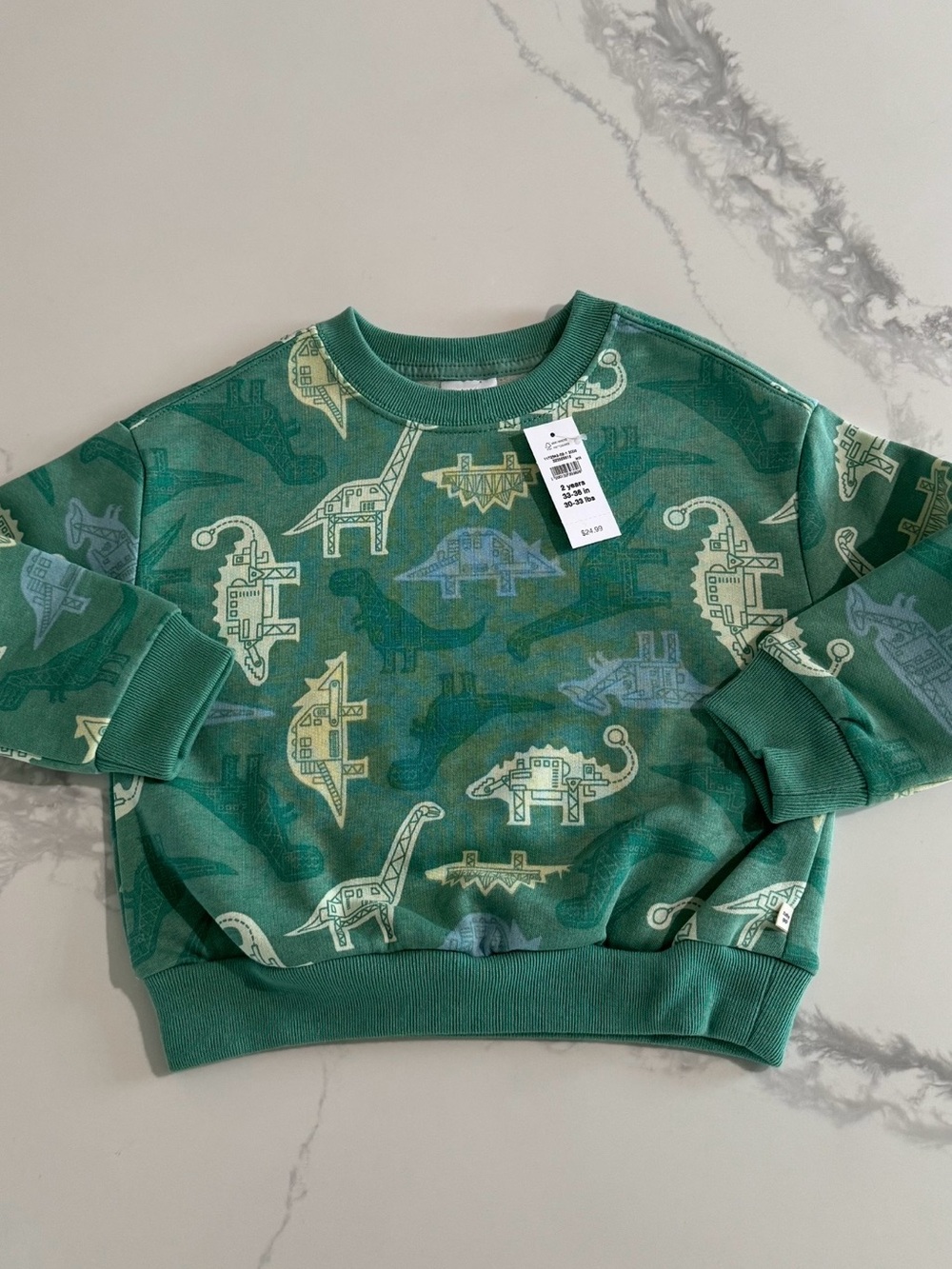 GAP Toddler Boy Dinosaur Sweatshirt 2T NEW